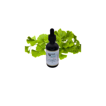 Load image into Gallery viewer, Ginkgo Tincture (2oz) Mind Flow – Ginkgo Glycerite